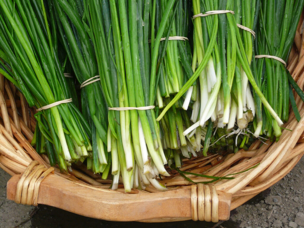 Rustic Wallpaper: Fresh Green Chives Bundled in Rattan Basket