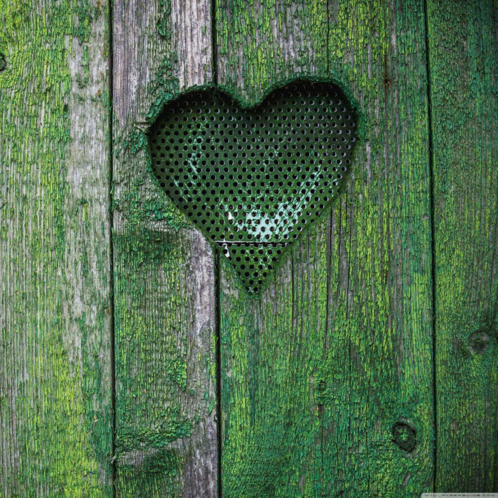 Rustic Green Heart Design on Mossy Wood: Serene Wallpaper Background