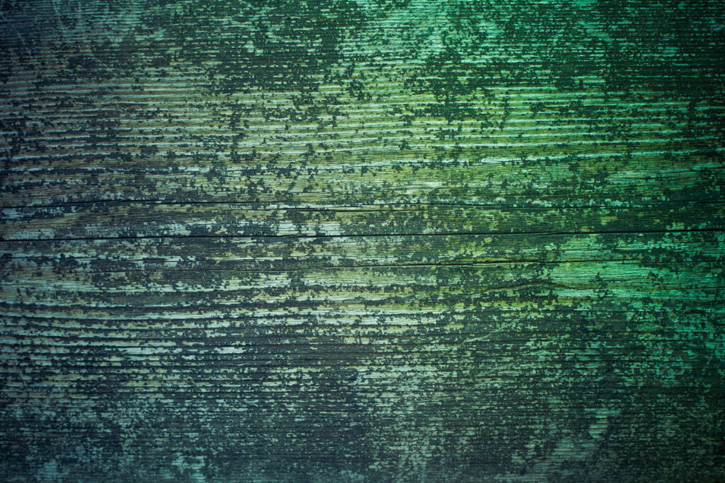 Rustic Green Wooden Wallpaper: Weathered Grunge Texture & Patterns
