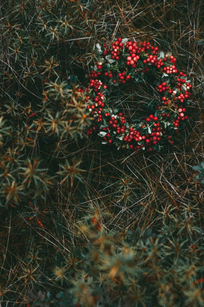 Handcrafted wreath with vibrant red berries on wild grass rustic natural green background wallpaper