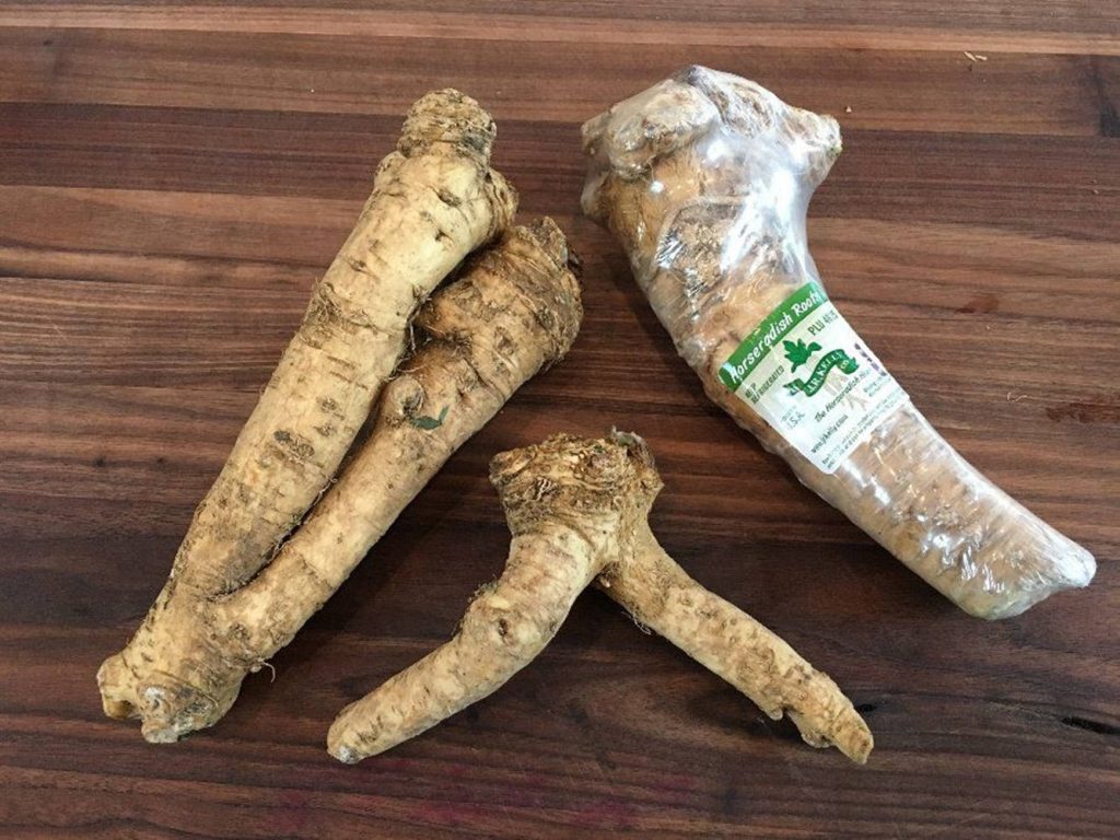 Three fresh horseradish roots on rustic dark wood with one in J R Kelly Co packaging background Wallpaper