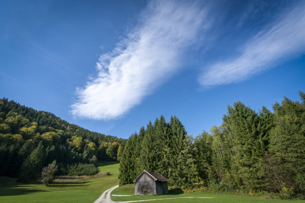 Rustic house by winding forest path under blue sky with green trees tranquil landscape wallpaper