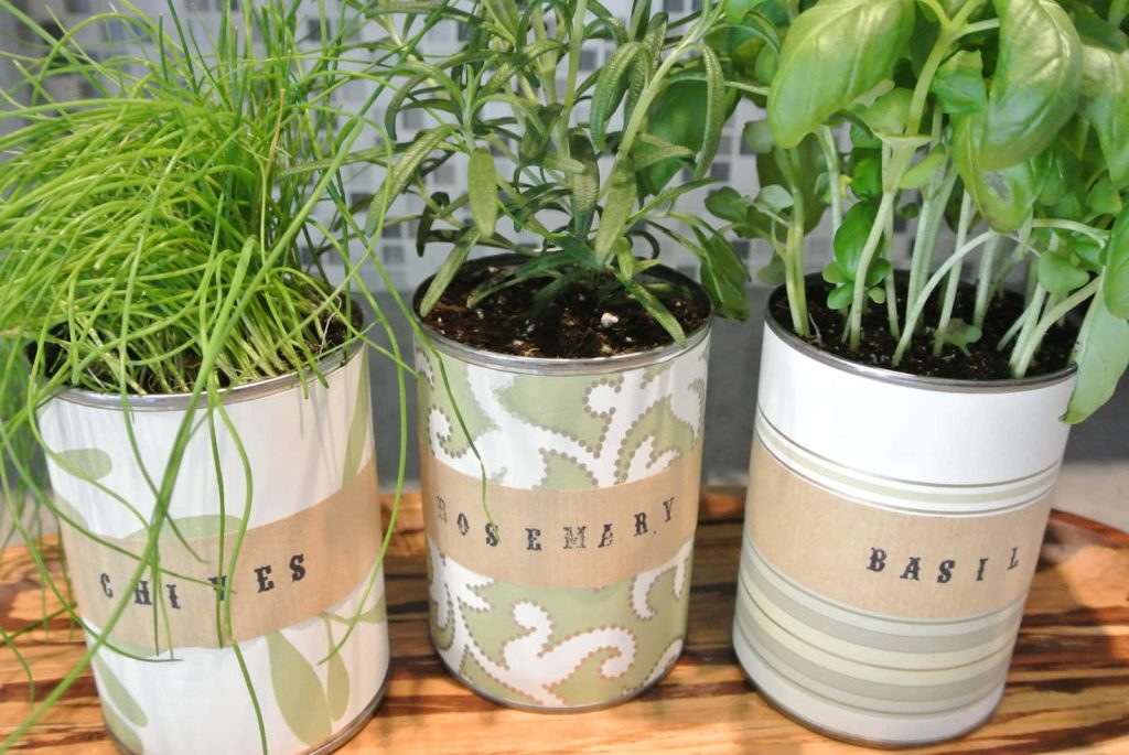 Realistic kitchen wallpaper with fresh chives rosemary and basil in rustic labeled metal cans
