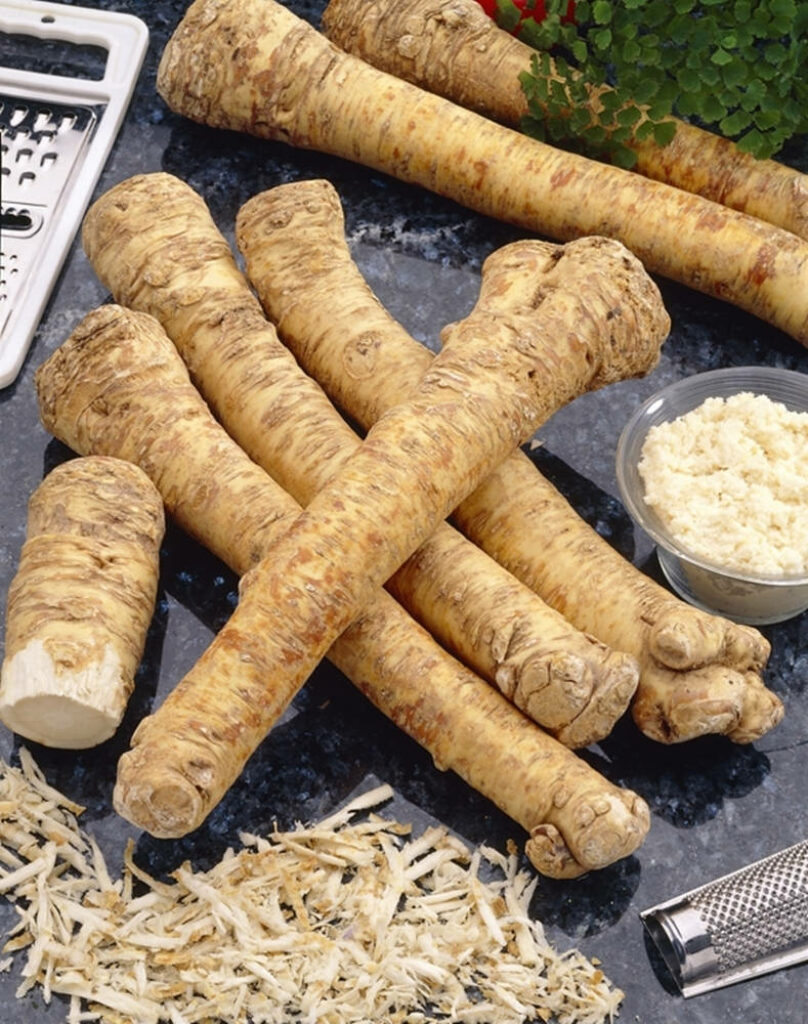 Rustic Kitchen: Fresh Horseradish Roots & Grated Horseradish Display Wallpaper