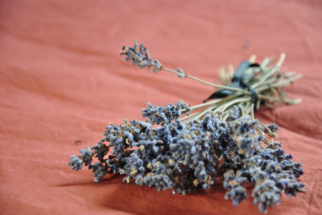 Serene Lavender Bundle on Rust Fabric: Rustic Wallpaper Background