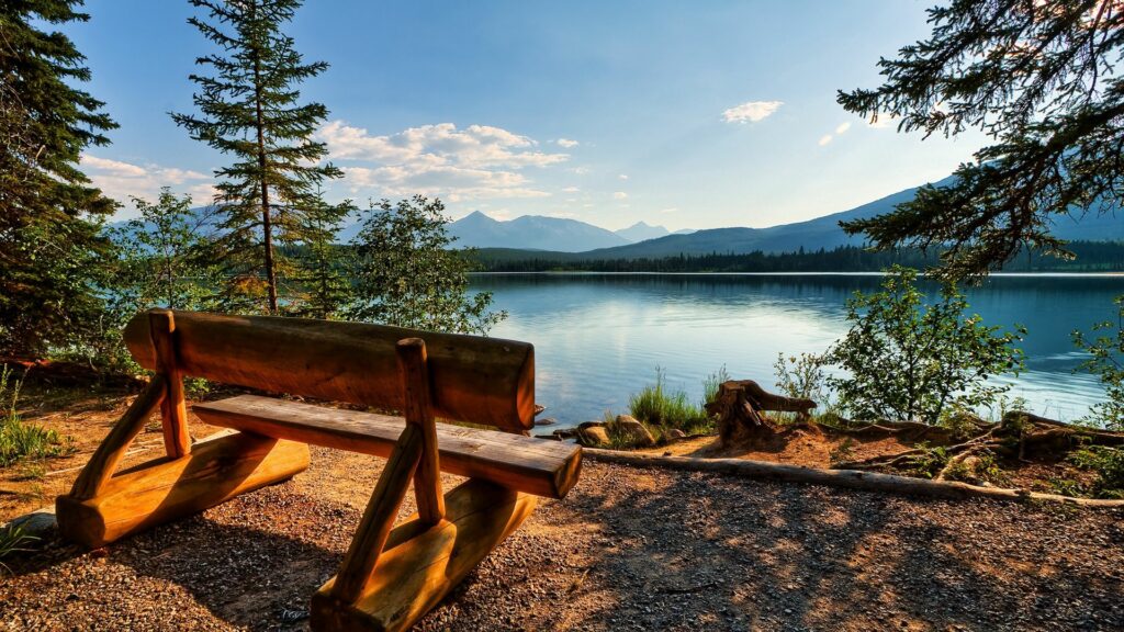 Rustic log bench by lakeside with lush trees calm waters and golden sunlight reflecting mountains Wallpaper