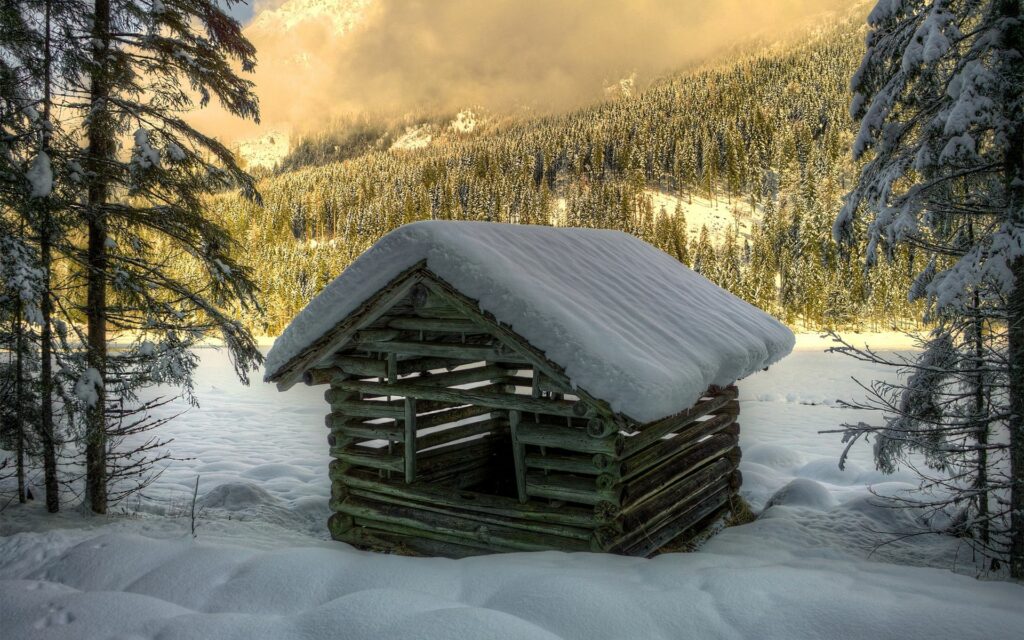 Rustic log house in snowy winter forest with dense spruce trees and sunlight on white snow Wallpaper