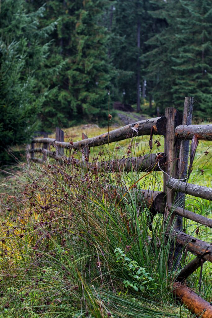 Rustic wooden log fence in tall grass with lush green trees and misty forest nature background Wallpaper