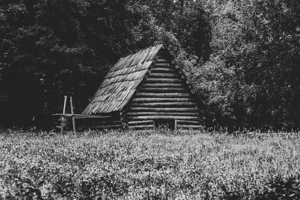 Rustic Log House Black & White Wallpaper - Peaceful Nature Background