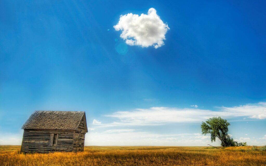Rustic log hut in golden field with blue sky and sunlight patches serene countryside view Wallpaper
