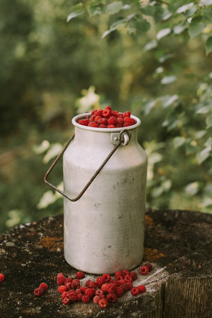 Rustic Metal Can of Fresh Raspberries Amidst Nature - Wallpaper Background