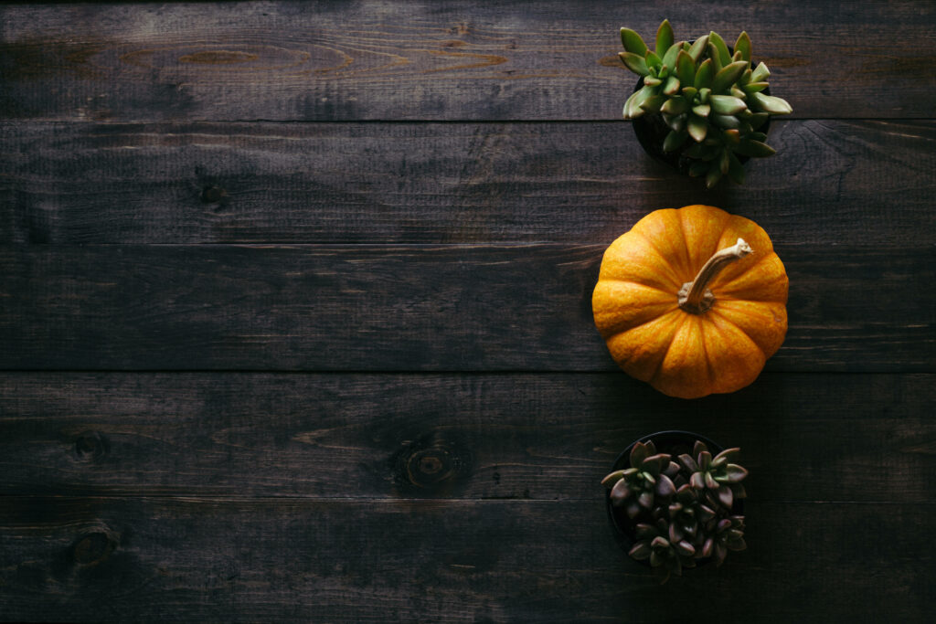 Minimalist Thanksgiving Wallpaper: Rustic Wood, Pumpkin & Succulents