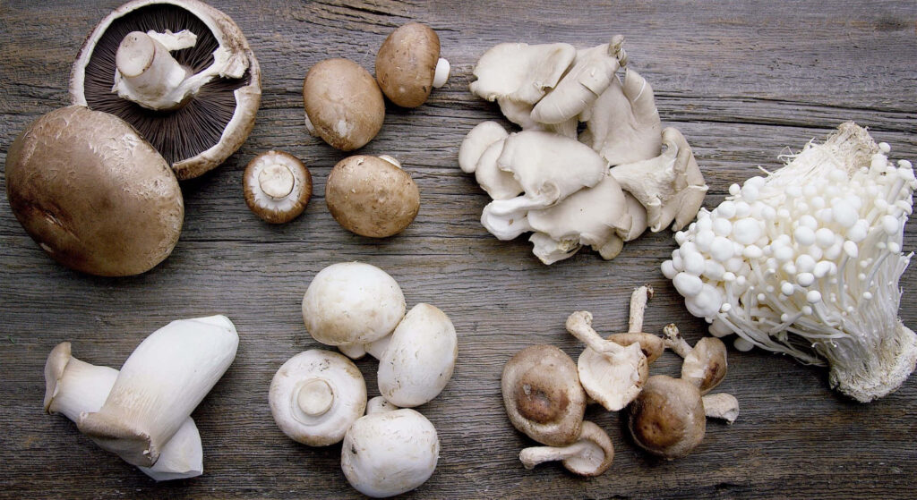 Rustic Mushroom Wallpaper: Diverse Shapes & Colors on Wood Surface