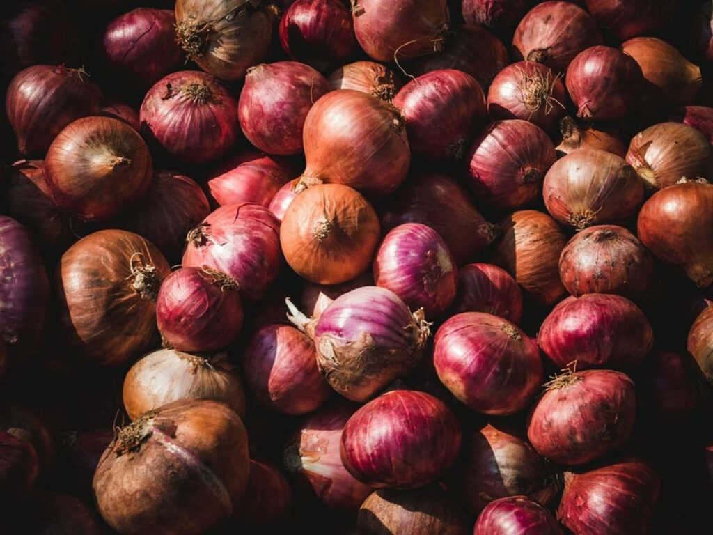 Rustic Onion Wallpaper: Textured Display of Colorful Varieties
