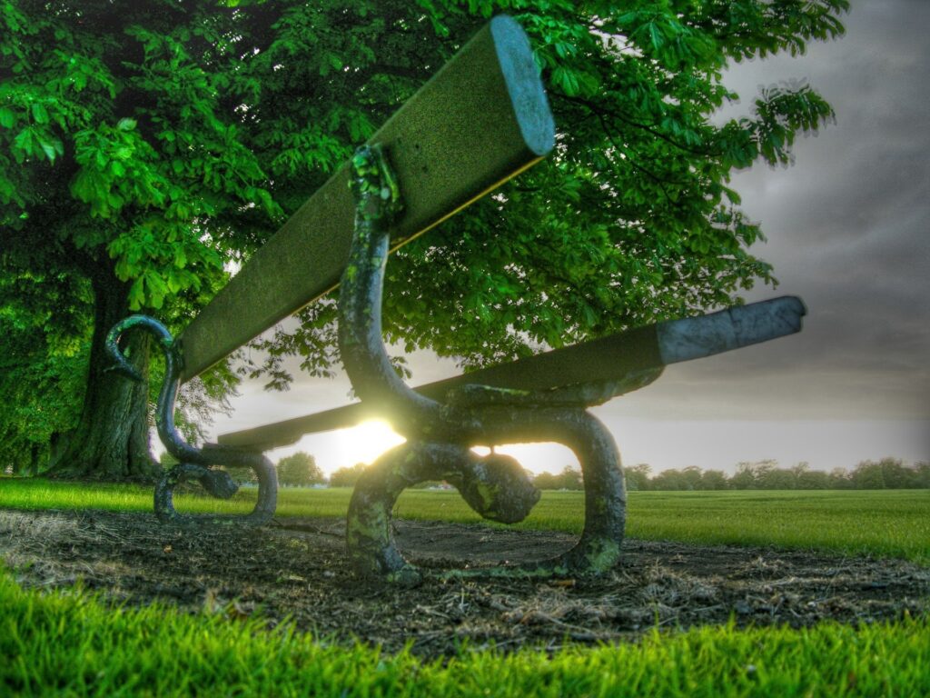 Rustic park bench under leafy tree at sunset with dramatic clouds peaceful outdoor wallpaper