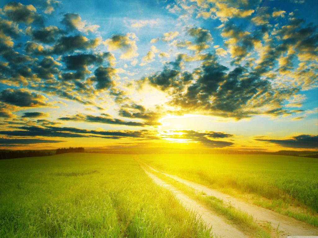 Rustic path through green fields leading to golden sunset with dramatic clouds and warm light Wallpaper