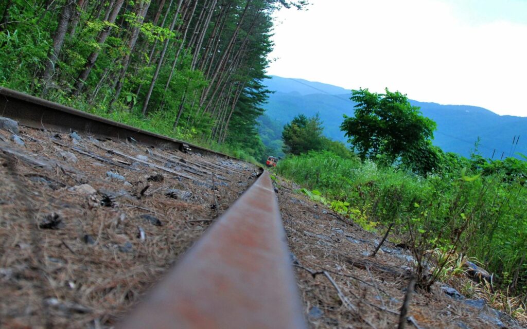 Rustic railroad track through tall grass and pine trees leading to mountains under bright sky Wallpaper