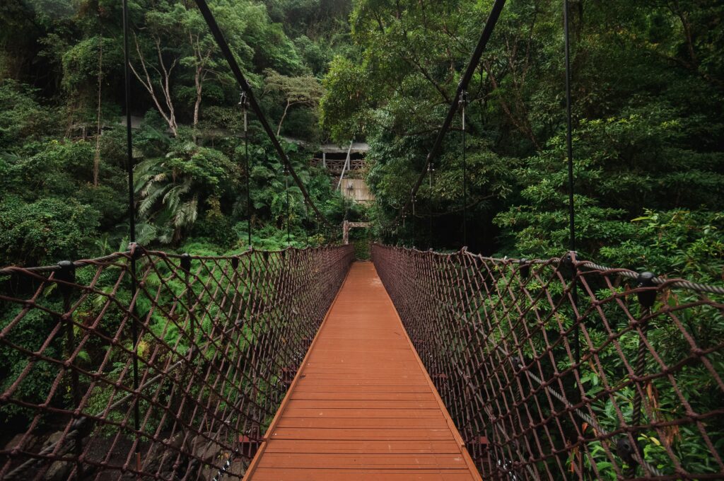 Rustic hanging rope bridge over lush green forest leading to hidden wooden jungle structure wallpaper