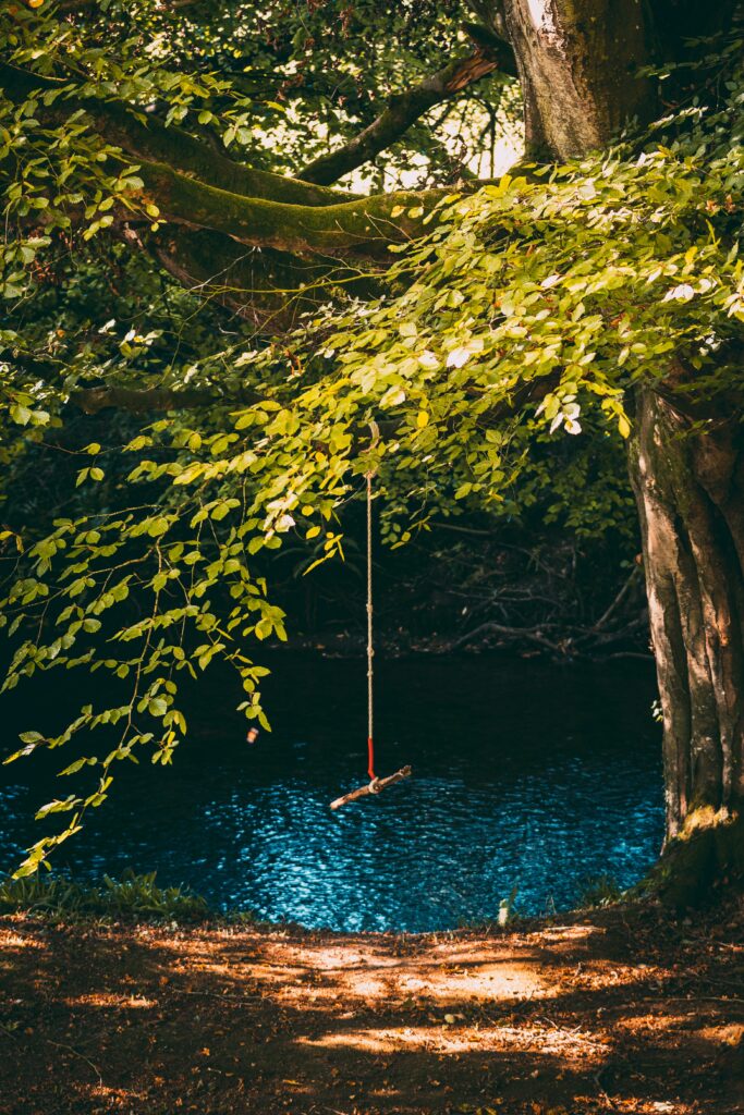 Rustic rope swing over serene river with lush green trees and dappled sunlight woodland scene Wallpaper