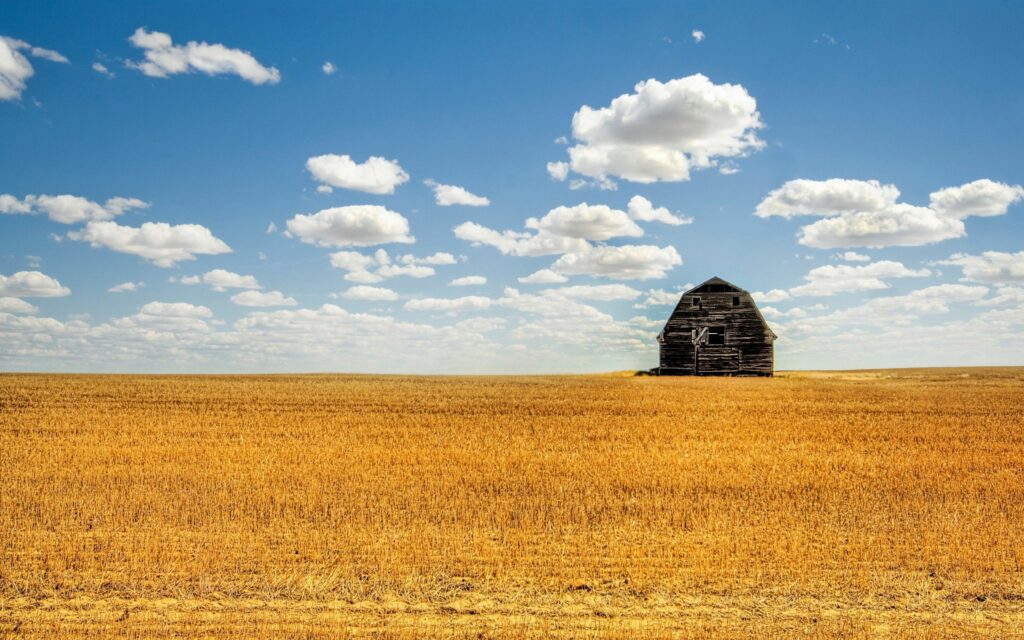 Rustic shed in golden field under blue sky with white clouds rural countryside landscape wallpaper