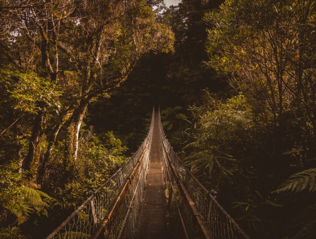 Rustic suspension bridge in lush green forest with golden sunlight and dense trees wallpaper