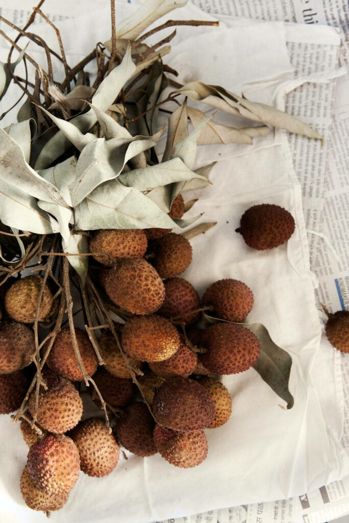 Dried Tropical Lychee Wallpaper: Rustic Natural Background Decor