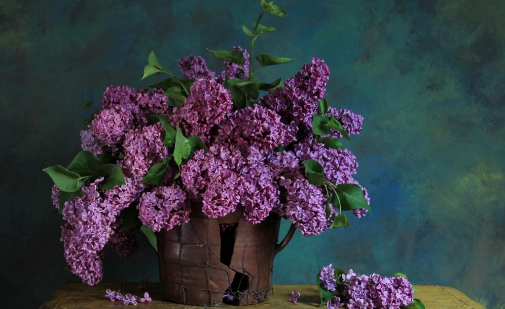 Rustic Vase with Lilac Bouquet - Spring Wallpaper Background