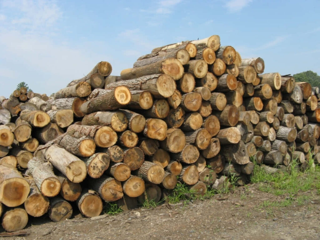 Rustic Stack of Logs Wallpaper: Timeless Wood Grain Background