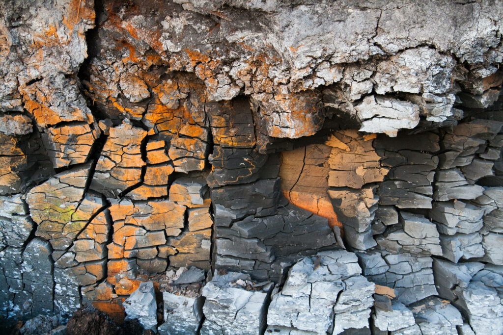 Rustic Stone Wallpaper: Textured Cracked Surface with Earthy Tones