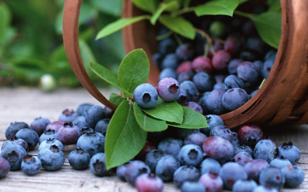Rustic Wallpaper: Tipped Wooden Bucket with Fresh Blueberries