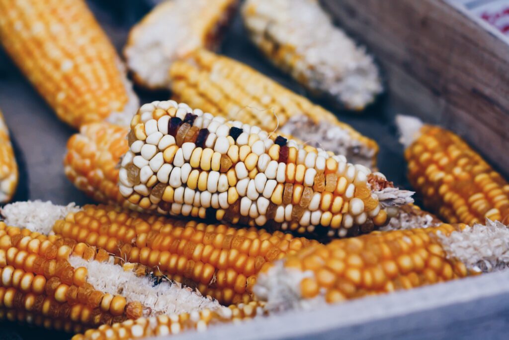Rustic Wallpaper: Close-Up of Golden Corn Cobs in Wooden Setting