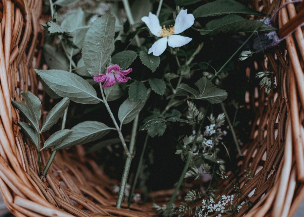 Rustic Wicker Basket with Green Leaves & Flowers - Serene Background Wallpaper