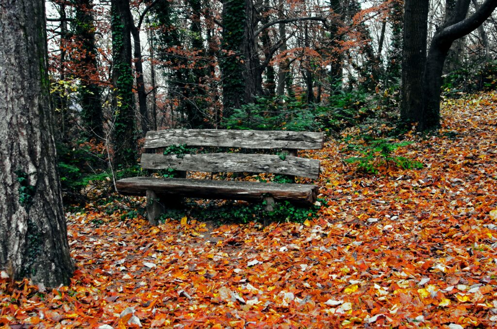 Rustic wooden bench in autumn park with vibrant orange yellow leaves on the ground wallpaper background