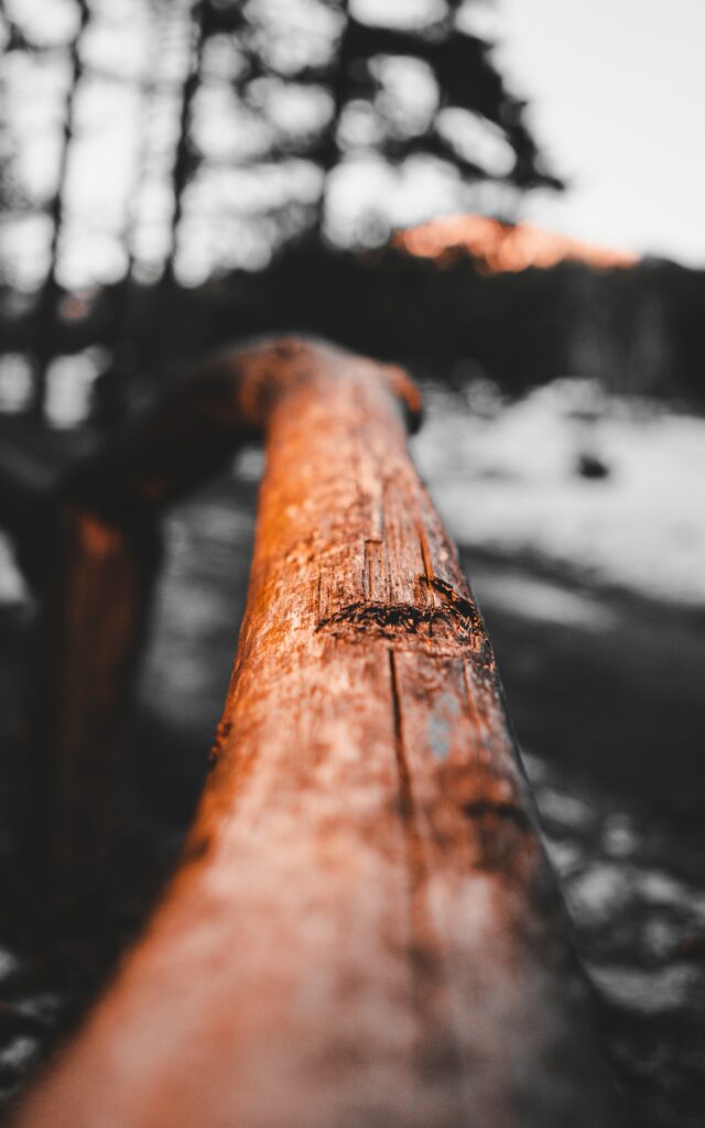 Rustic Wooden Branch Macro Shot - Nature Wallpaper Background