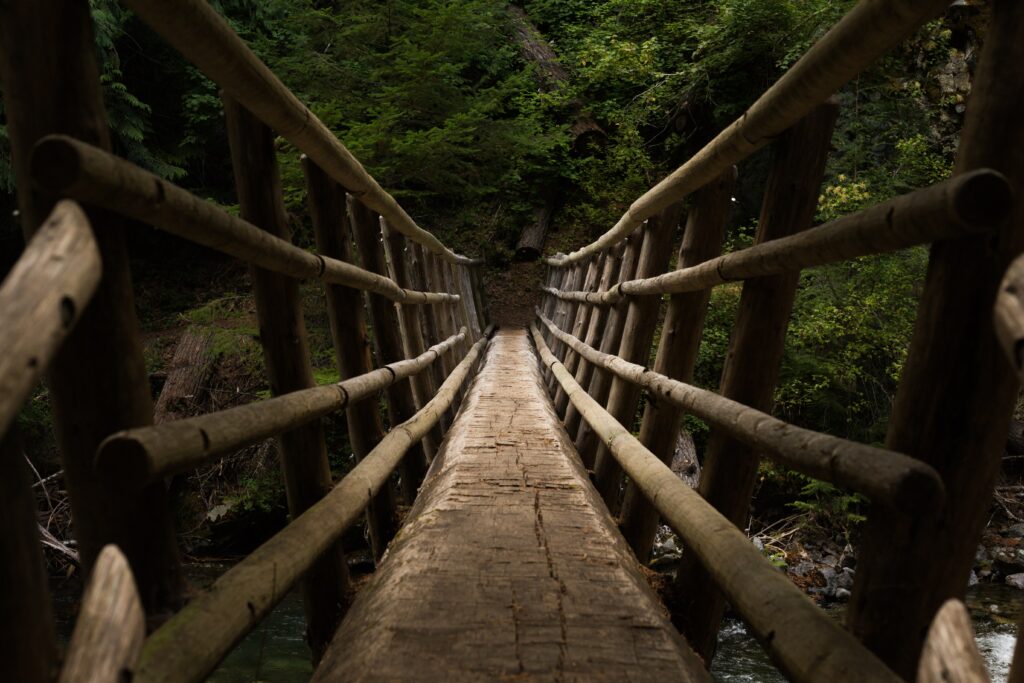 Rustic wooden bridge leading into dense green forest with textured wood and tranquil nature background Wallpaper