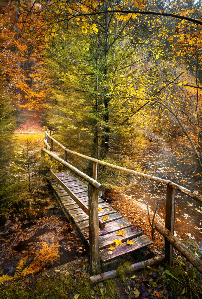 Rustic wooden bridge over gentle river in vibrant autumn forest with golden orange leaves Wallpaper