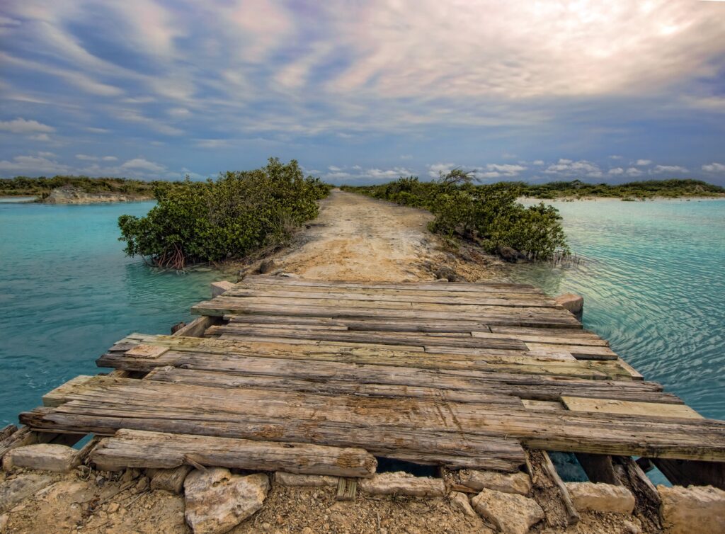 Old wooden bridge over calm river surrounded by lush greenery under dramatic sky wallpaper