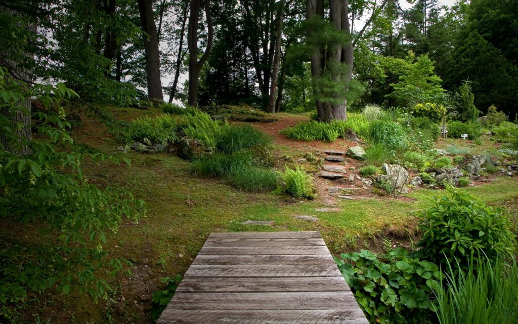 Rustic wooden bridge over stone steps into lush garden with vibrant greenery and tall trees Wallpaper