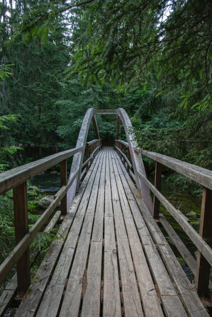 Rustic wooden bridge in dense green forest with soft natural light serene woodland escape background Wallpaper