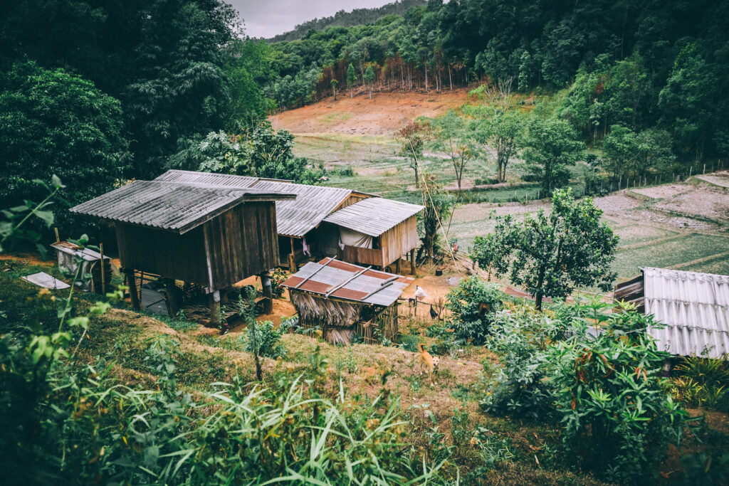Rustic wooden buildings on green hillside surrounded by dense forest under overcast sky wallpaper