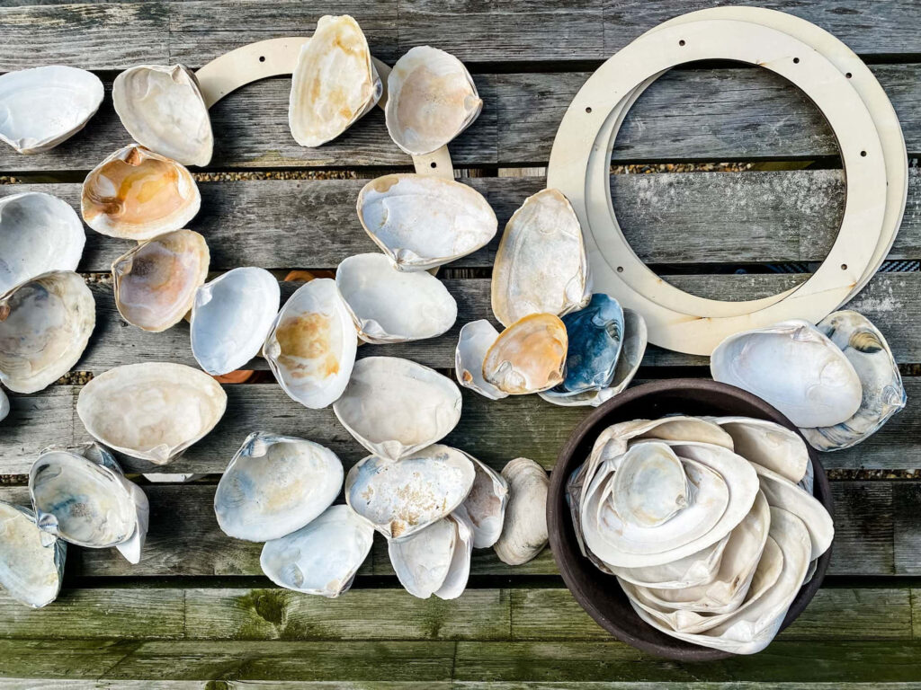 Rustic wooden wallpaper with clam shells coastal beach theme natural textures and earth tones
