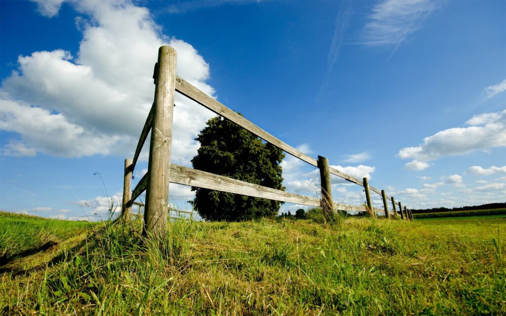 Rustic wooden fence in sunlit green field with solitary tree under blue sky and white clouds Wallpaper
