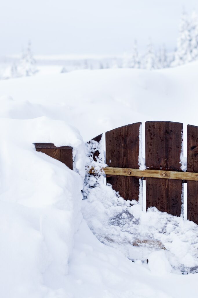 Rustic wooden gate open in deep untouched snow with snow-covered trees in serene winter landscape Wallpaper