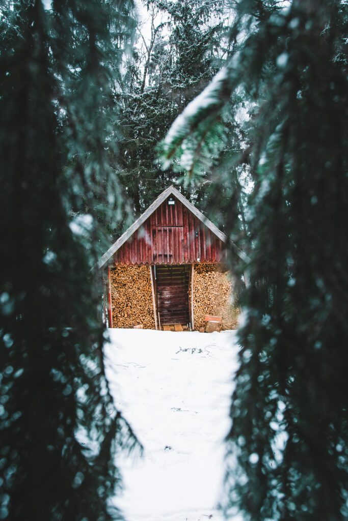 Rustic wooden hut among tall spruce trees covered in fresh snow winter nature wallpaper background
