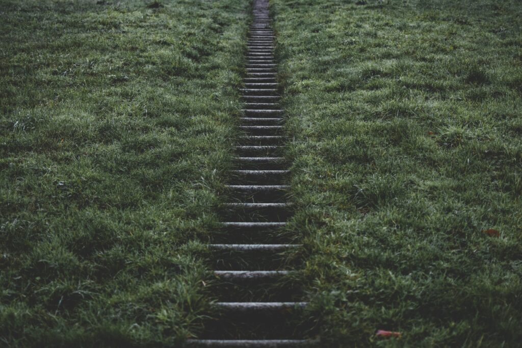 Wooden ladder path ascending through vibrant green grass in a blurred natural landscape background Wallpaper