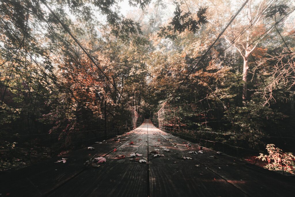 Rustic wooden suspension bridge over autumn forest with orange gold green leaves and sunlight Wallpaper