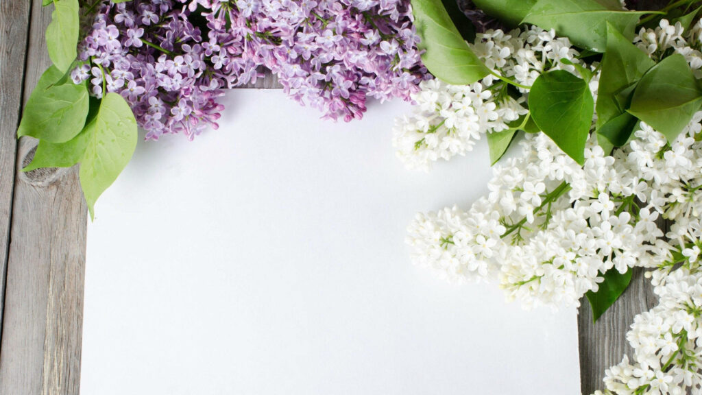 Rustic Wooden Background with Purple & White Lilac Flower Wallpaper