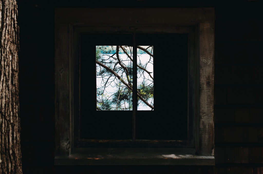 Rustic Wooden Window Wallpaper: Serene Tree Branch View Background