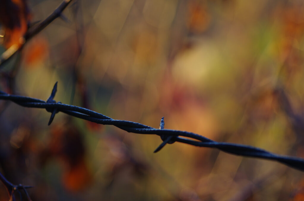 Rusty Barbed Wire Close-Up: Sharp Contrast Against Warm Wallpaper