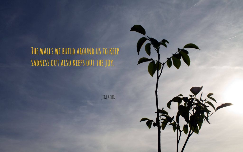 Silhouette of sapling and cloudy sky with Jim Rohn sad aesthetic wallpaper background quote